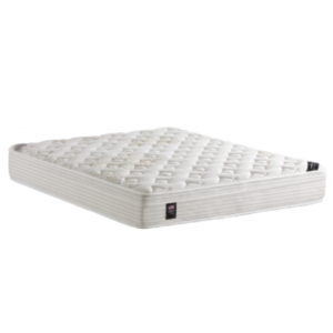 COLCHAO SIMMONS GEOCITIES NEW